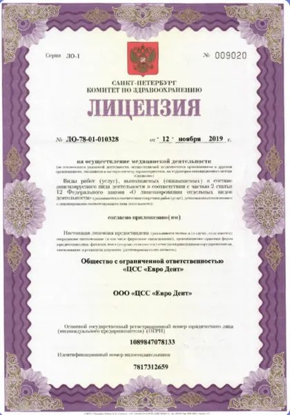 Лицензия ЛО-78-01-010328 от 12 ноября 2019 года, страница 1